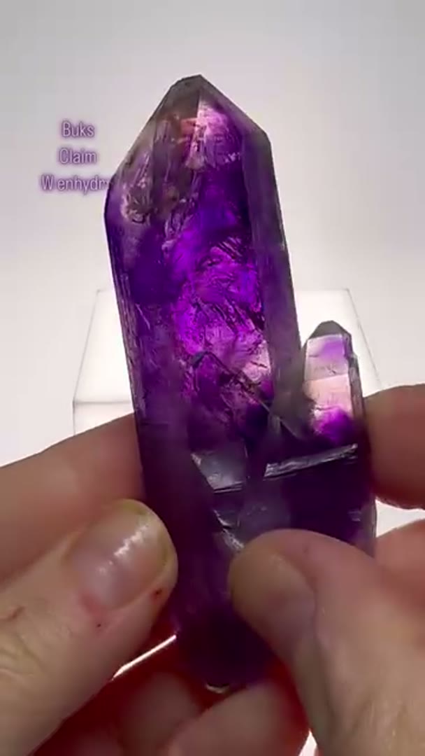 Buks Claim Amethyst w enhydro