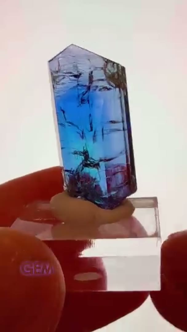 What an absolute GEM TANZANITE