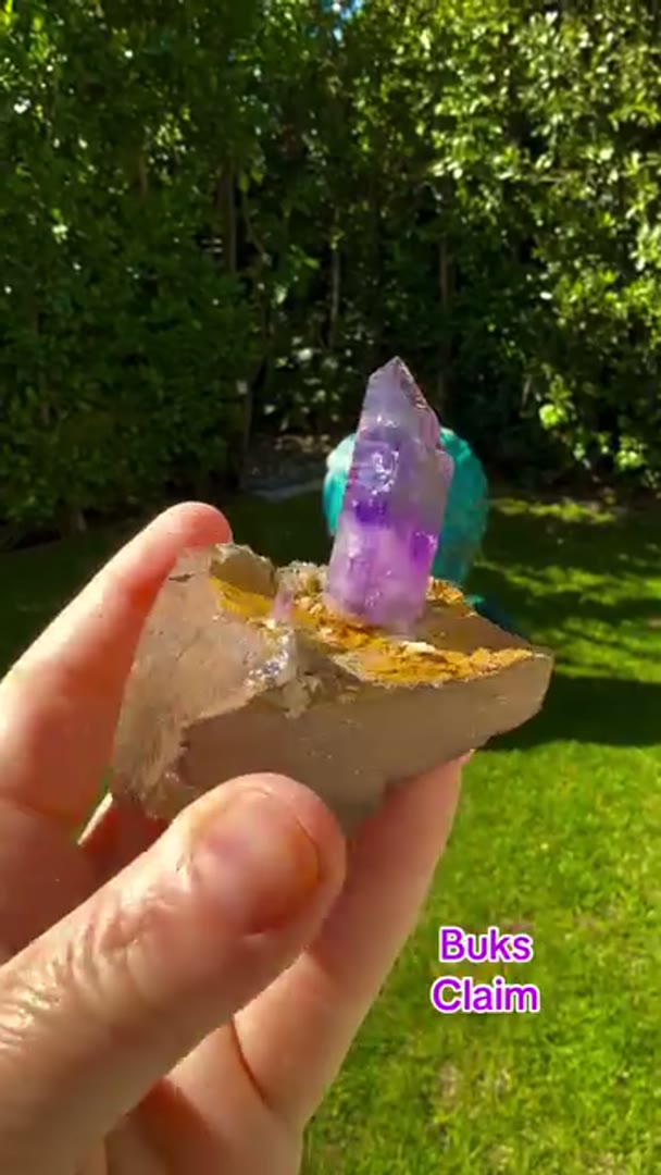 Absolute Gem BUKS CLAIM Amethyst