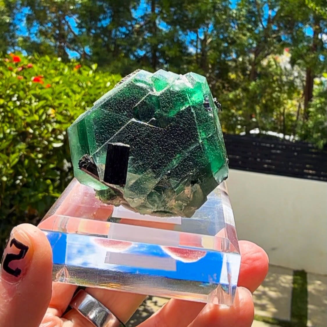 Emerald green perfection from Namibia
