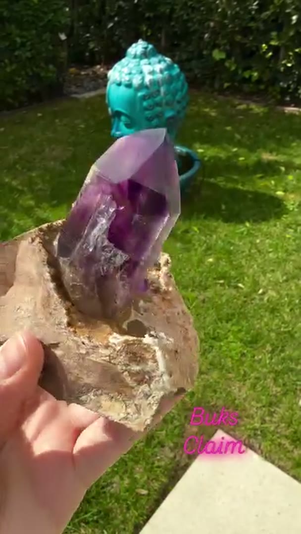 Absolute Gem BUKS CLAIM Amethyst