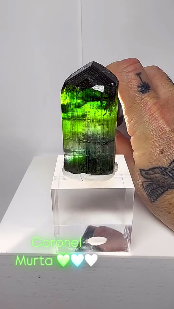 Total Juicy Bomb Tourmaline…Coronel Murta Tourmaline