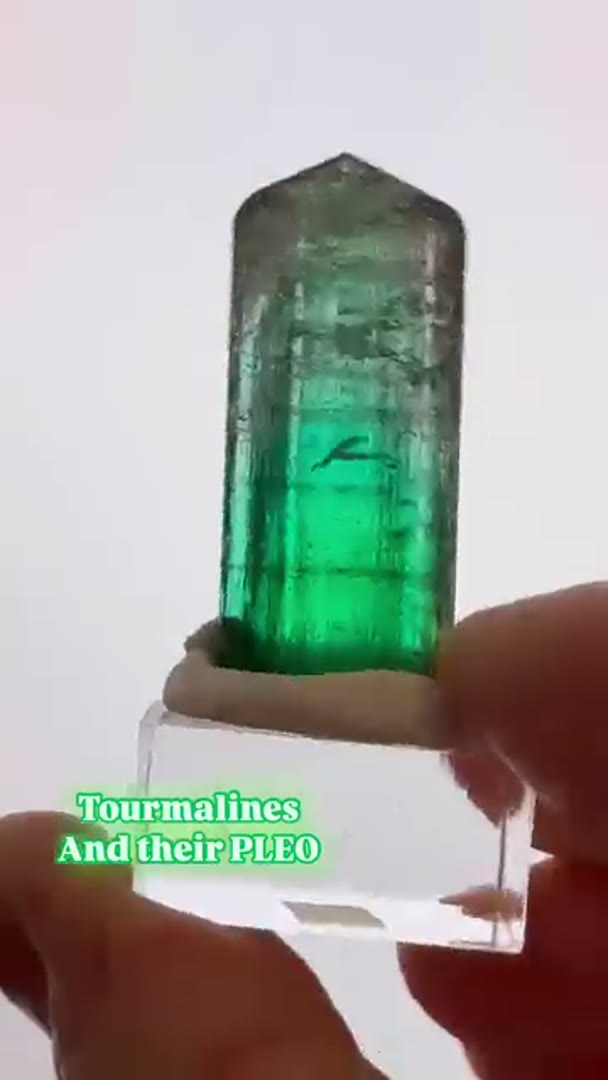 Tourmalines and their Pleos