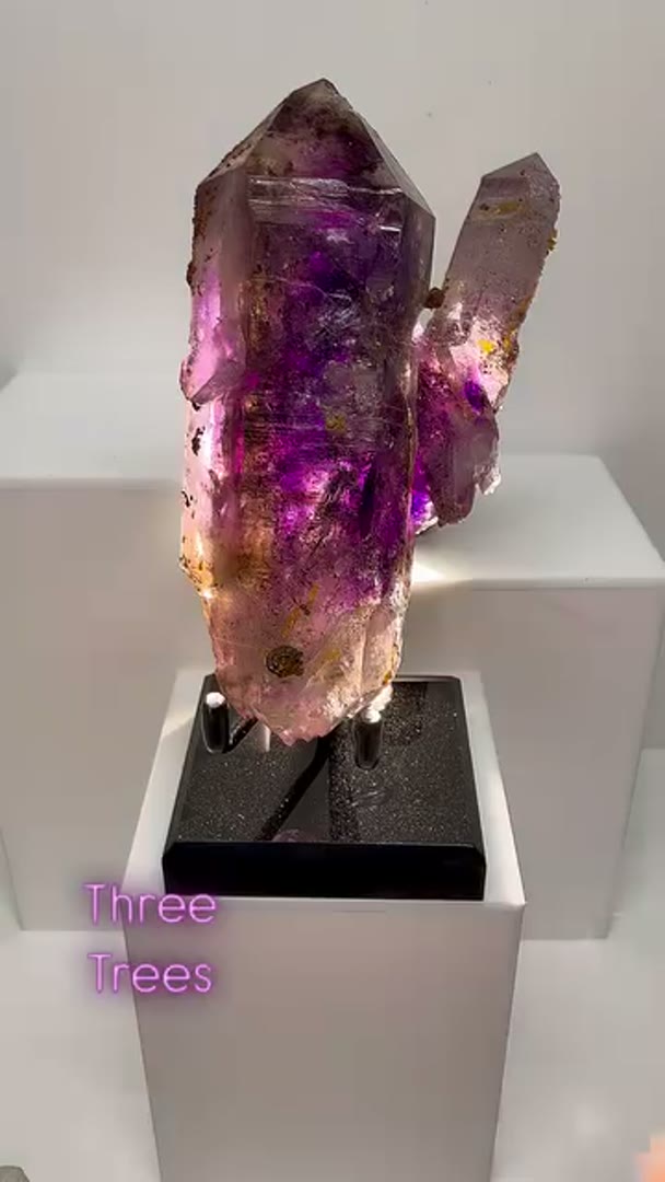 Banger Three Trees from