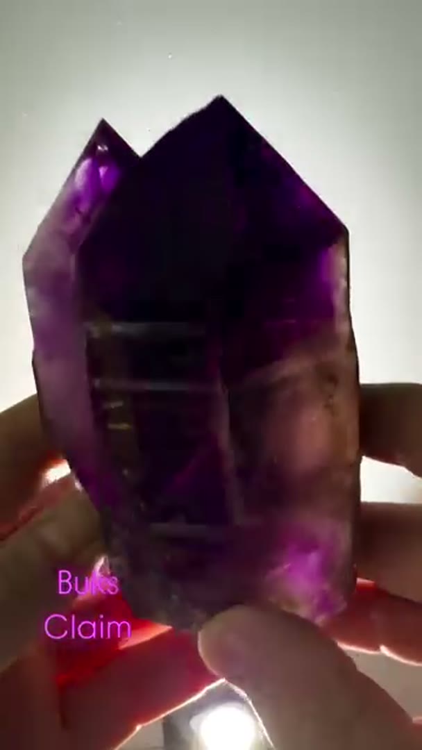 Absolute Juicy BUKS CLAIM Amethyst