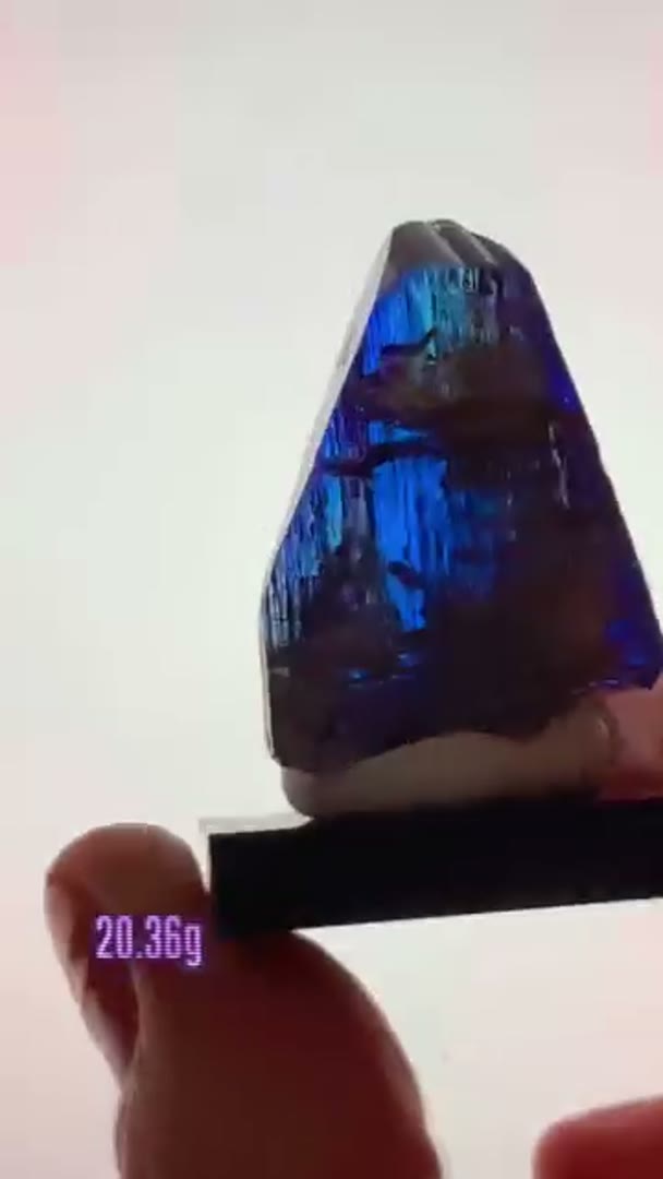 New top quality Tanzanite arrival with sick Pleo