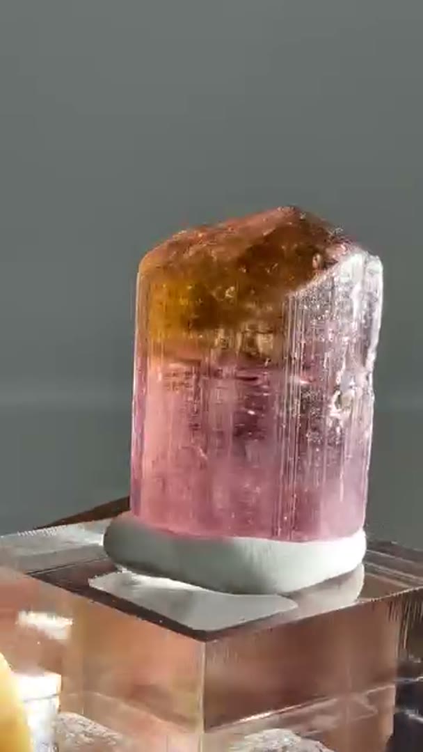 Some of the new Tourmaline Arrivals