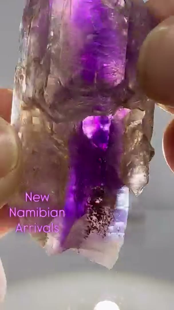 New Namibian Arrivals