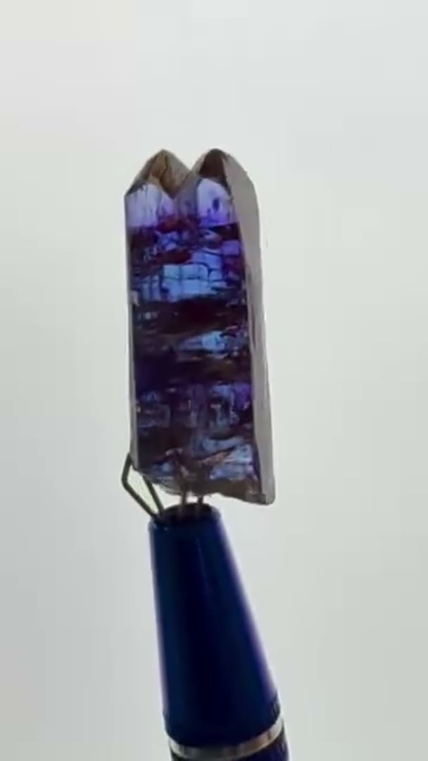 MESMERIZING TANZ