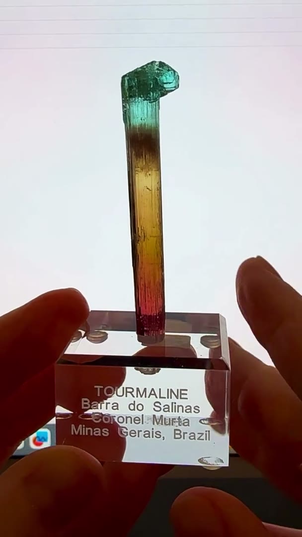 A SCEPTER OF COLOR