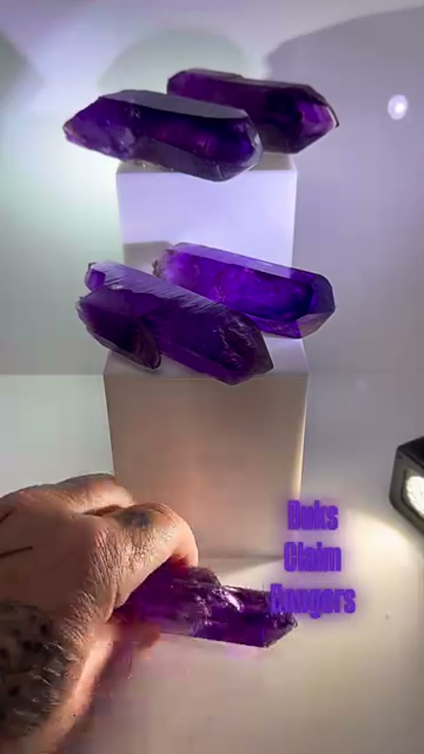 New Buks Claim Grape Juice Bangers have arrived