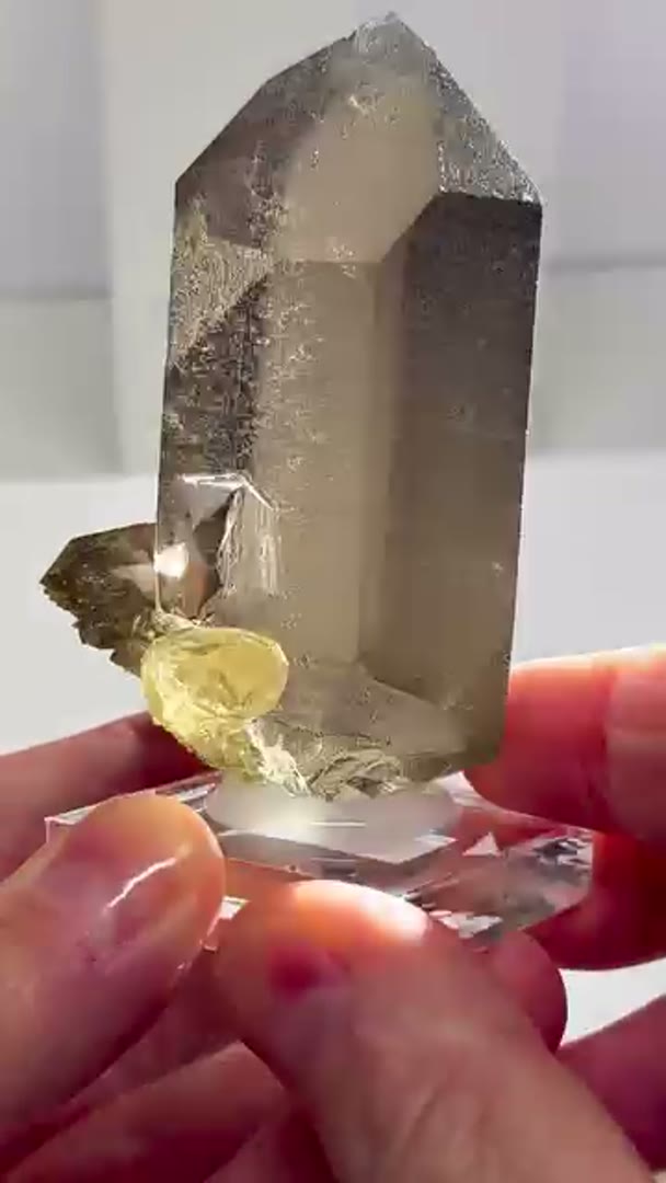 Smoky quartz from the Mont Blanc Massif, France, is prized for its unique…