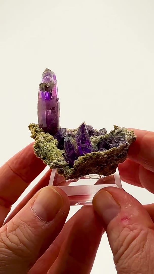 Purple perfection rising from the matrix