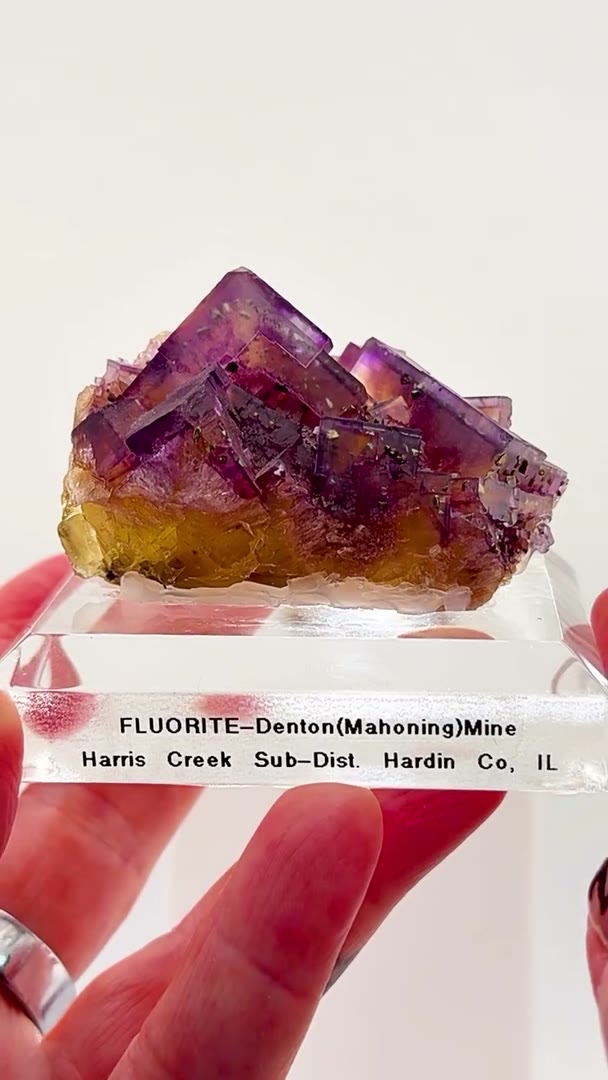 Illinois fluorite with a story to tell