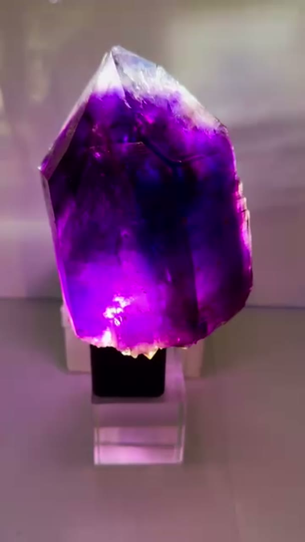 Absolute MONSTA BUKS CLAIM Amethyst
