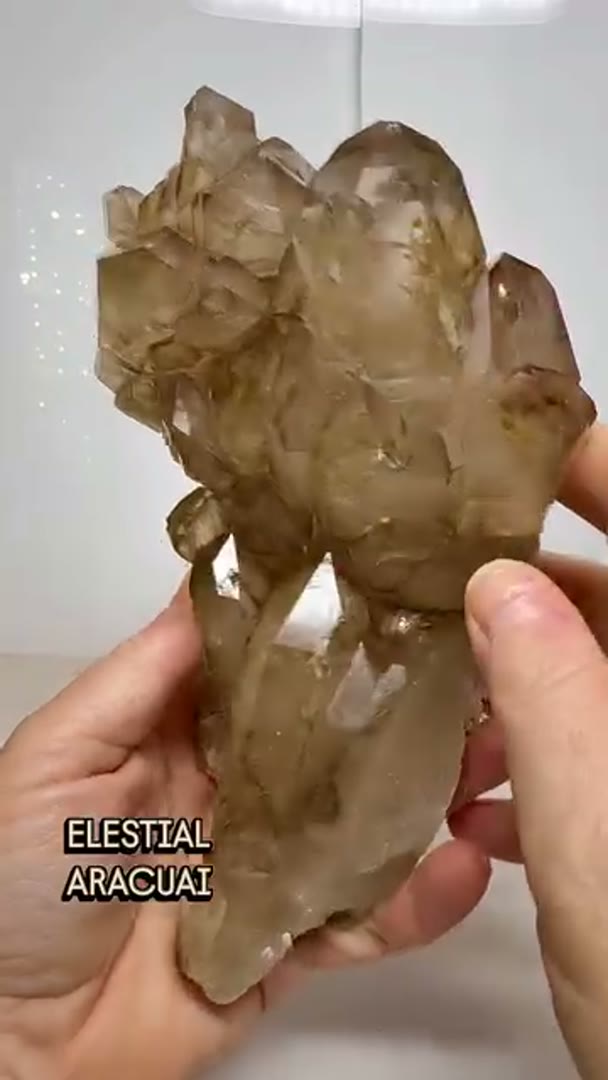 ELESTIAL from Aracuai