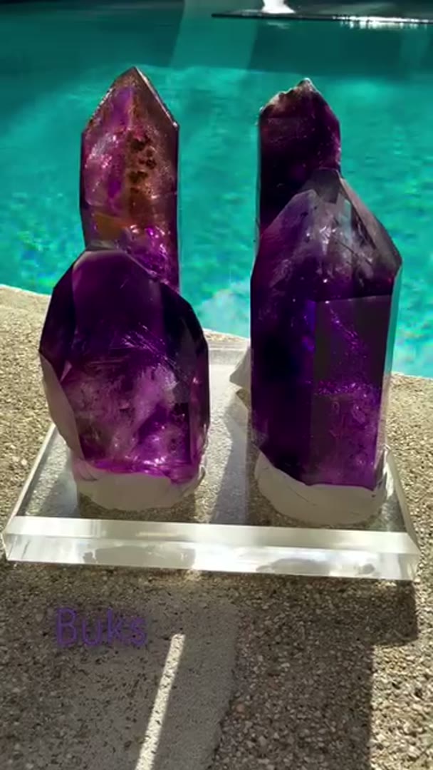 Purple Juice City