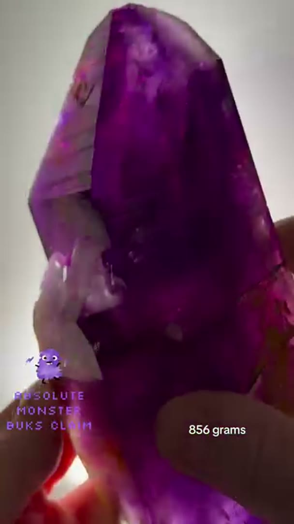Absolute MONSTA BUKS CLAIM Amethyst