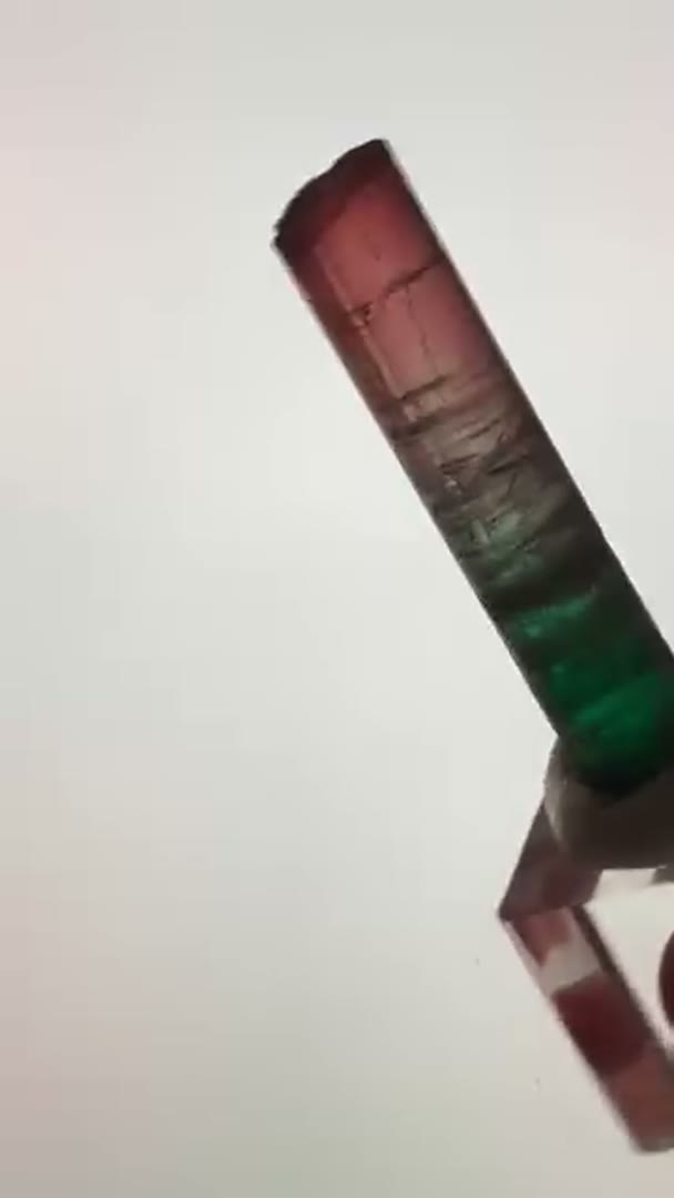 Tourmalines with that Pleo