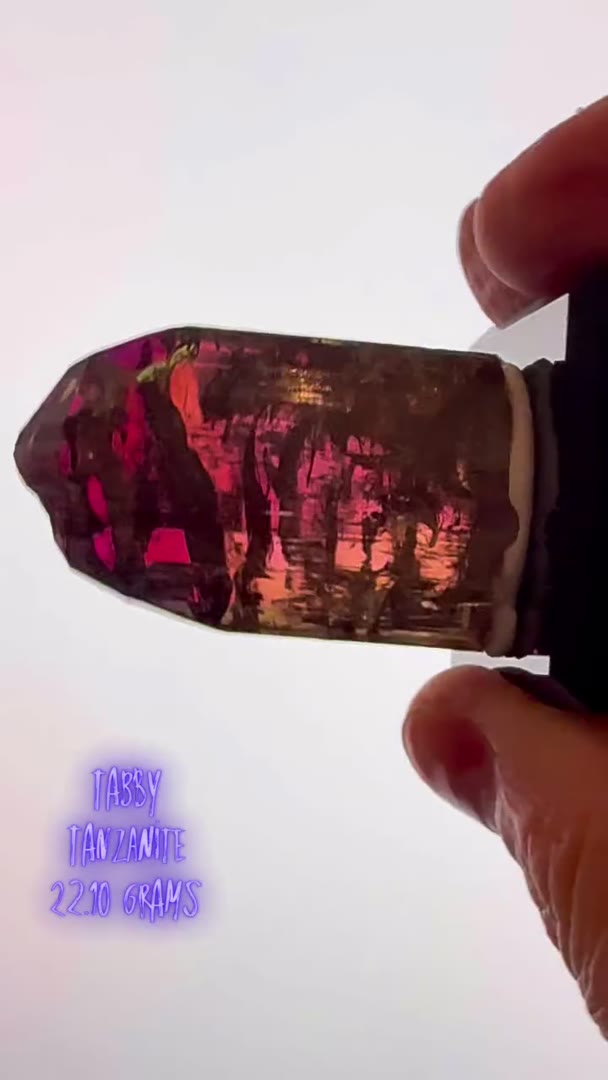 New Tabby Tanzanite Blue Banger  29.55 grams (available)