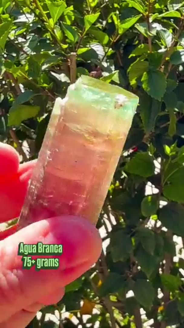 Agua Branca 75.7+ grams (available)tourmalines are known for their vibrant…