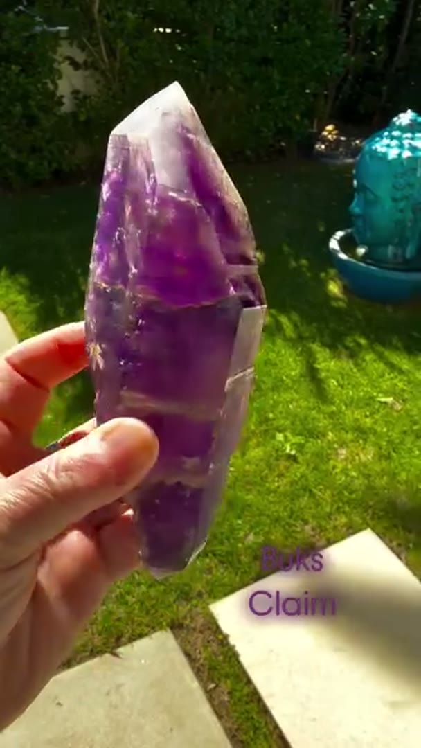 Some BUKS CLAIM Amethyst BEAUTIES