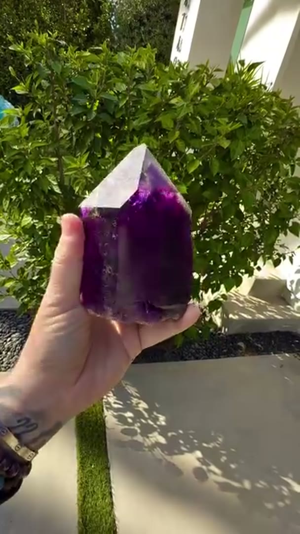 Absolute MONSTER BUKS CLAIM Amethyst