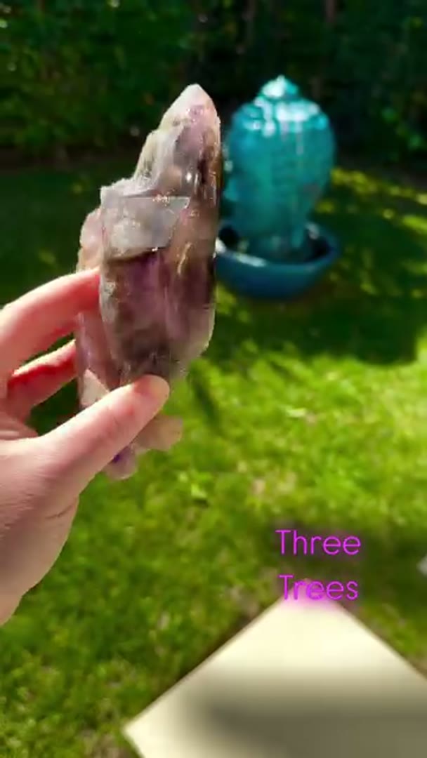Banger Three Trees from