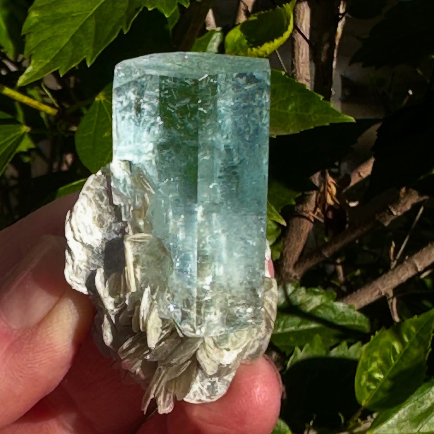 New Arrival Aquamarine  w Muscovite  from Shigar