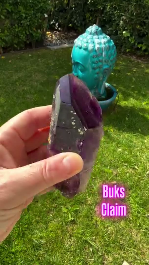 Absolute Gem BUKS CLAIM Amethyst
