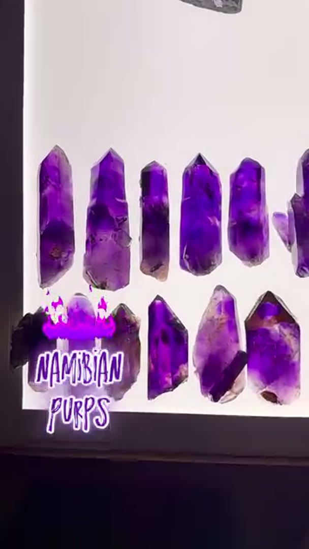 Namibian PURPS