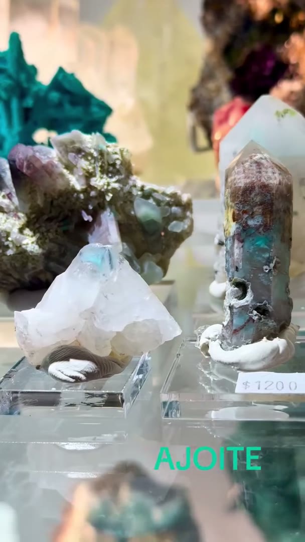 NEW AJOITE ARRIVALS