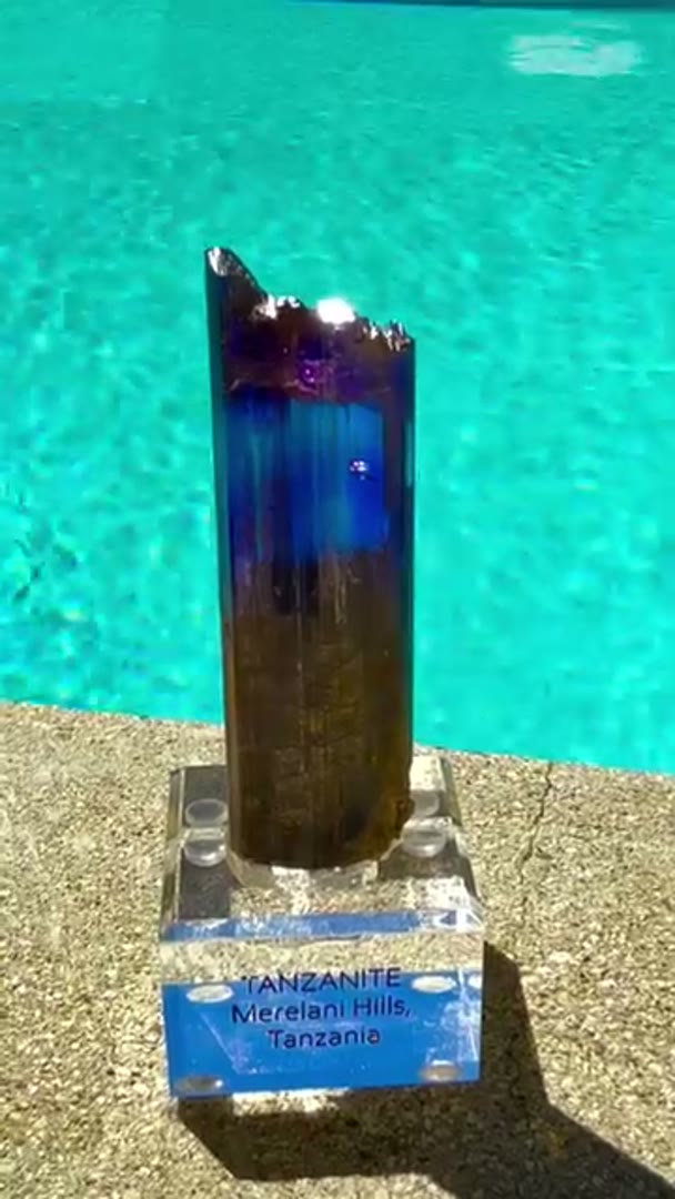 Poolside w the banger Tanz