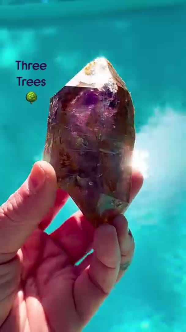 Banger Three Trees from