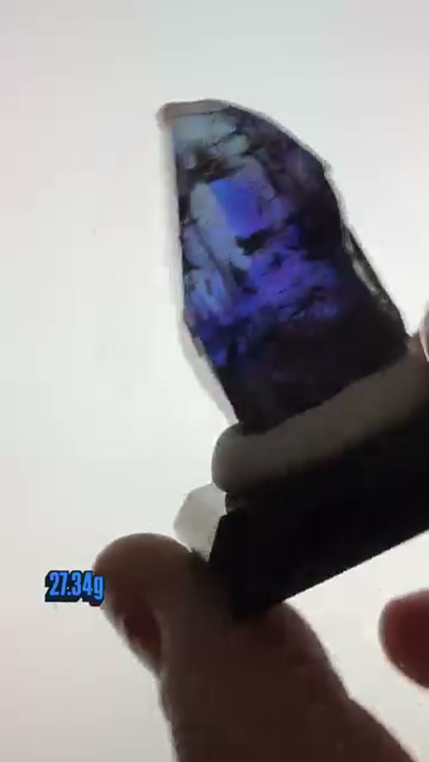 New top quality Tanzanite arrival with sick Pleo