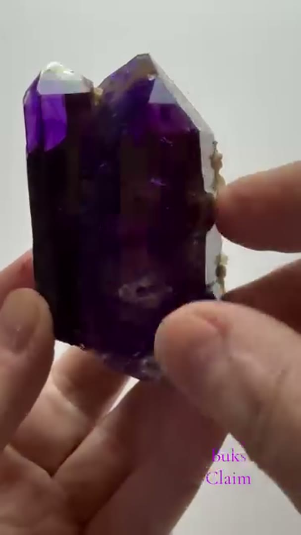 Absolute Juicy BUKS CLAIM Amethyst