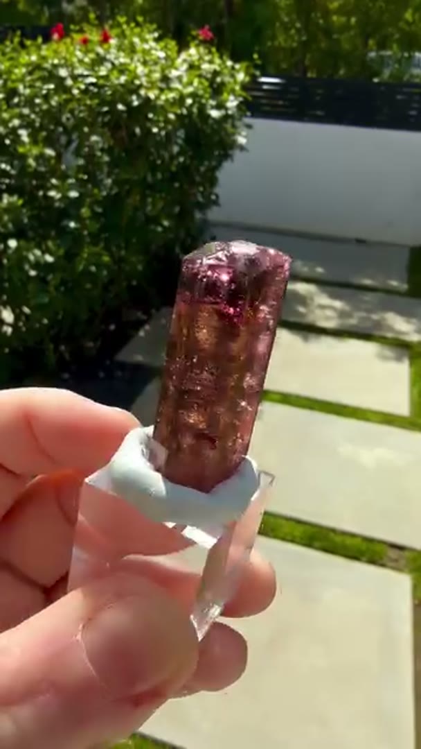 Liddicoatite from Madagascar Tourmaline