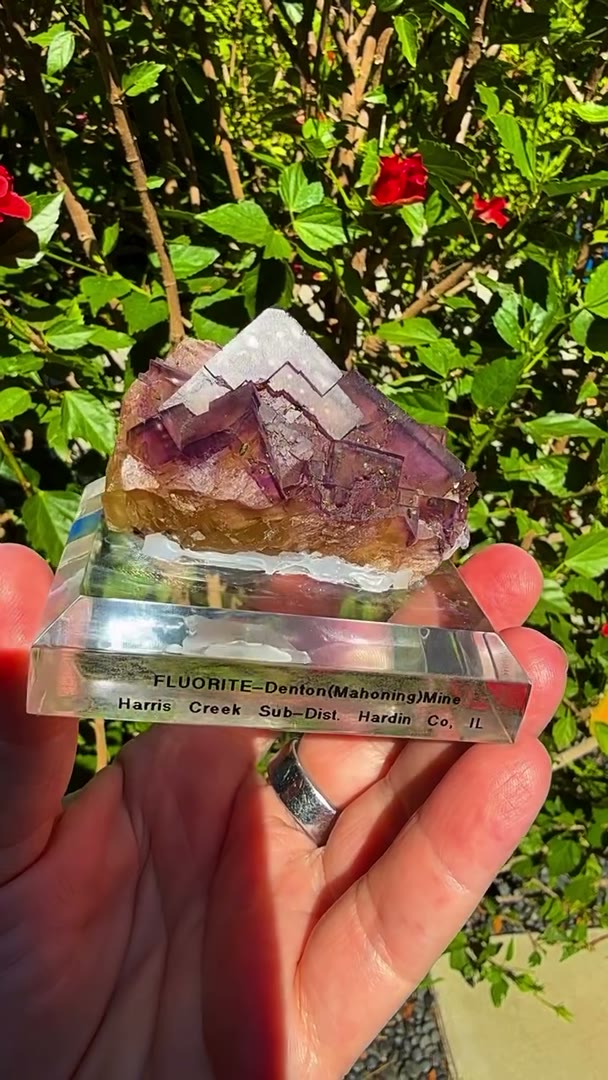 Purple fire and golden honey in one specimen
