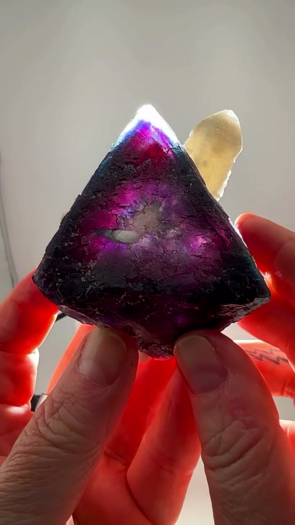Rainbow Pocket magic