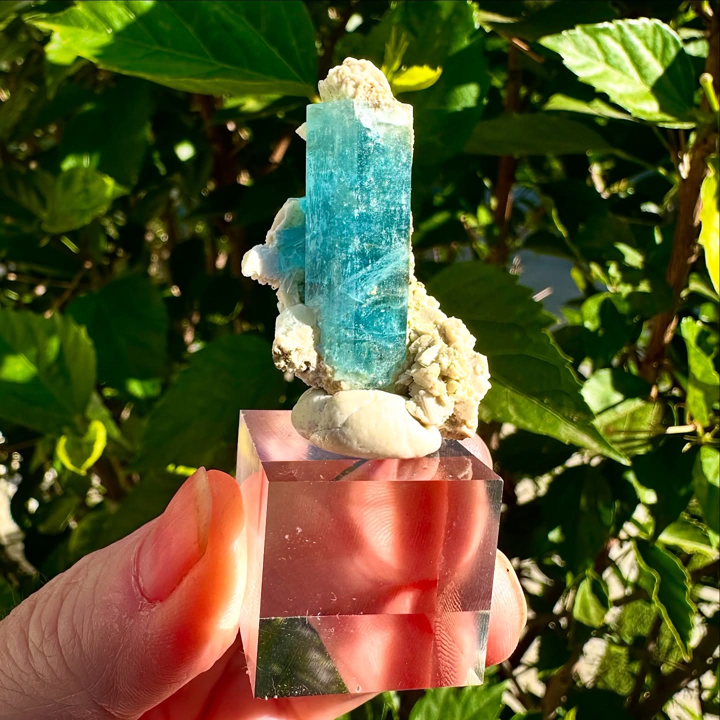 Erongo Aquamarine