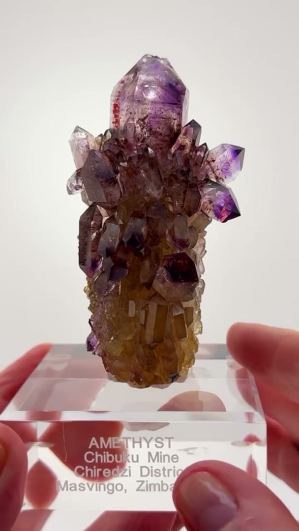 Some specimens stop you in your tracks