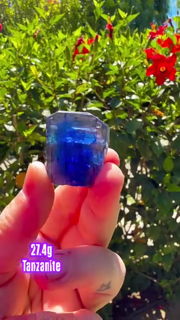 27.4g Tanzanite Heater