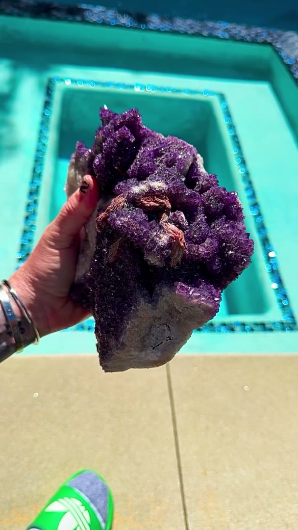 PURPLE FIRE, POOLSIDE