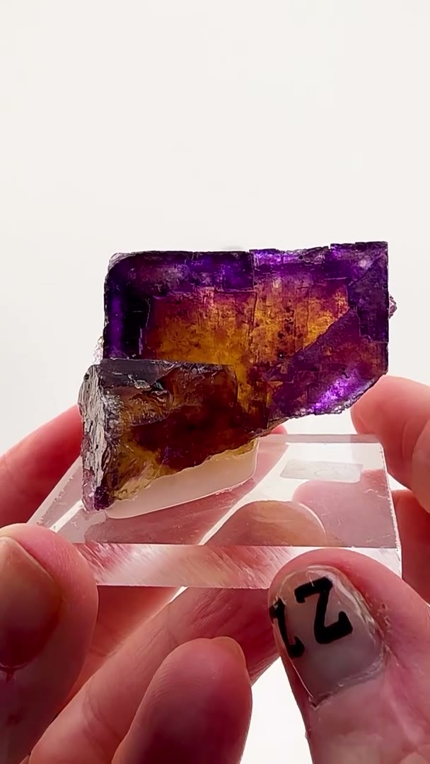Illinois fluorite perfection