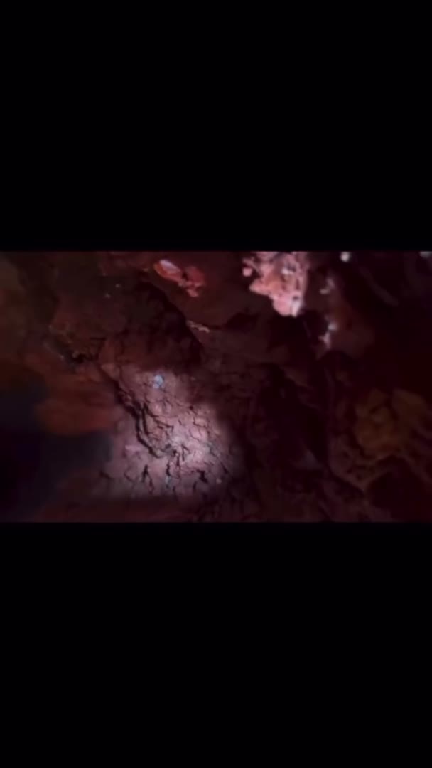 The Moment of Discovery