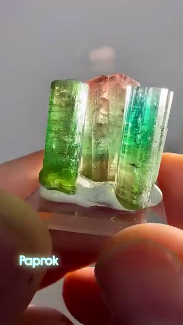 Paprok Tourmalines