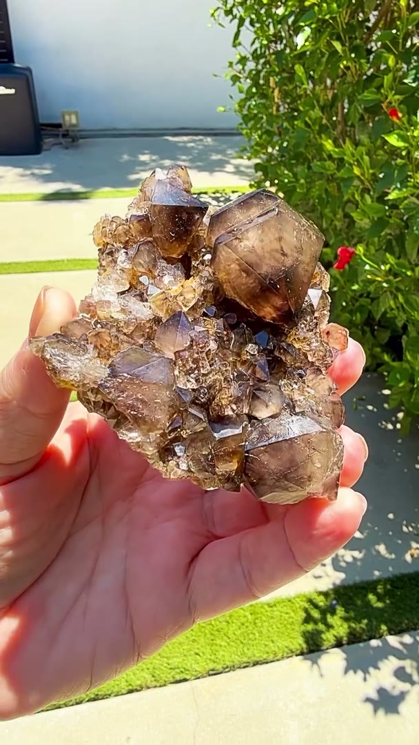 Australian smoky quartz hits differently in the sunlight