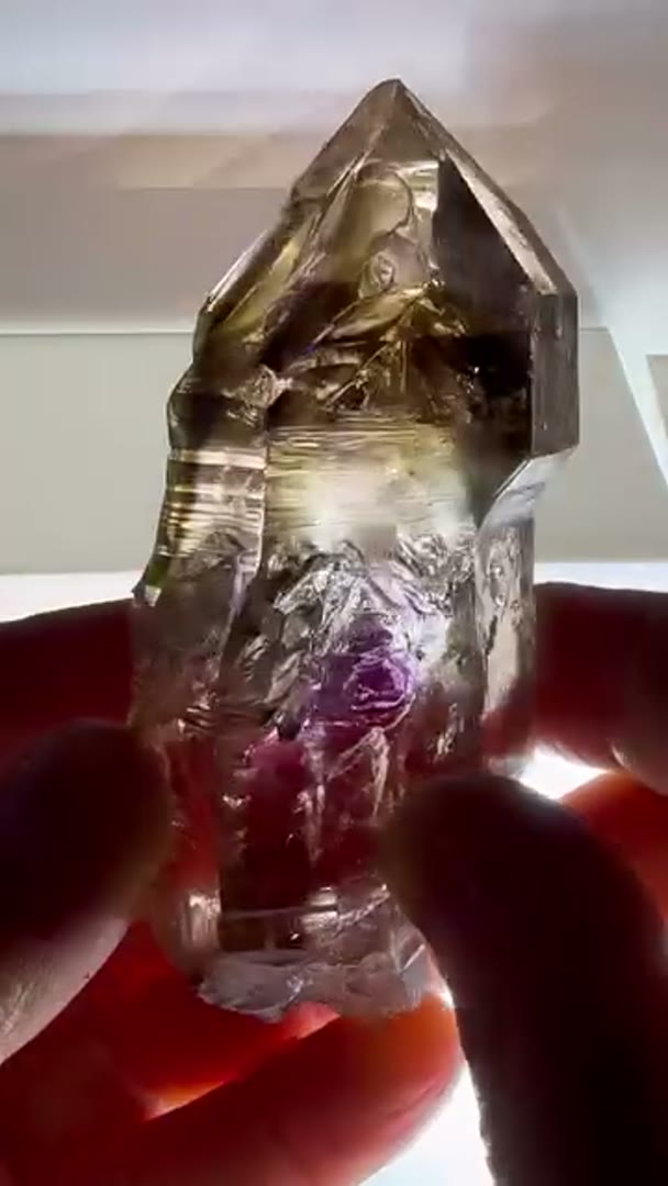 Smoky Quartz with Amethyst and Enhydro from Goboboseb