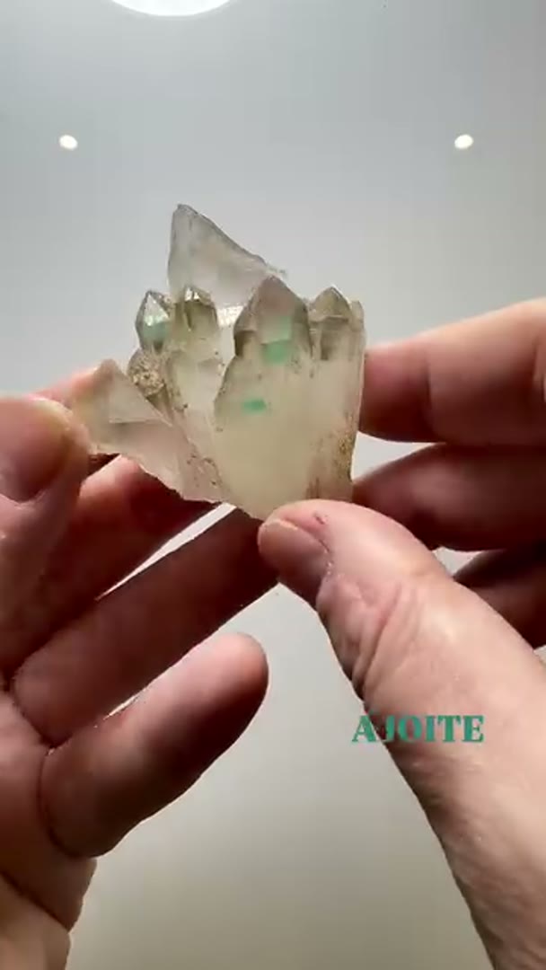 NEW AJOITE ARRIVALS