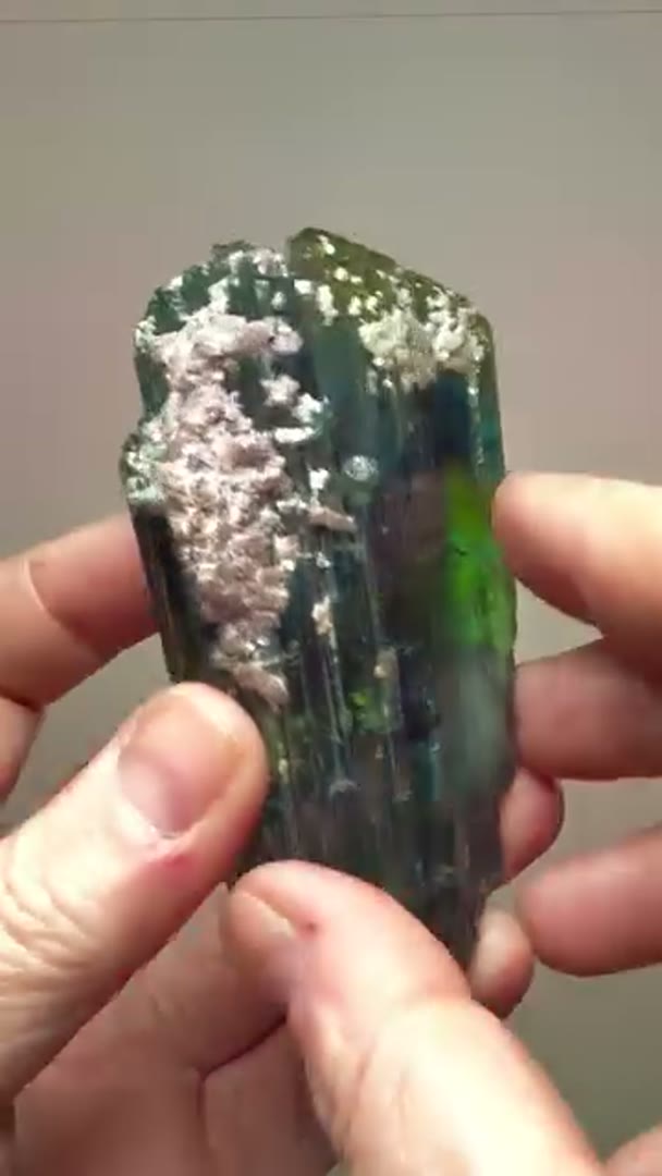 Beast Mode  Tourmaline Tuesday